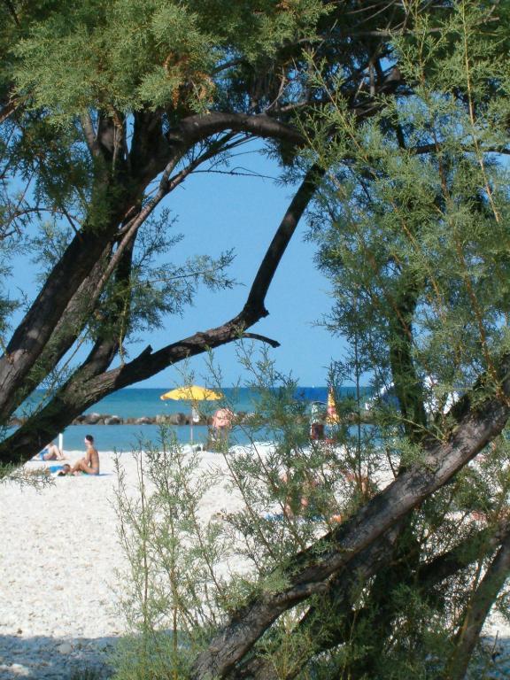Residence Casabianca Porto San Giorgio Eksteriør billede