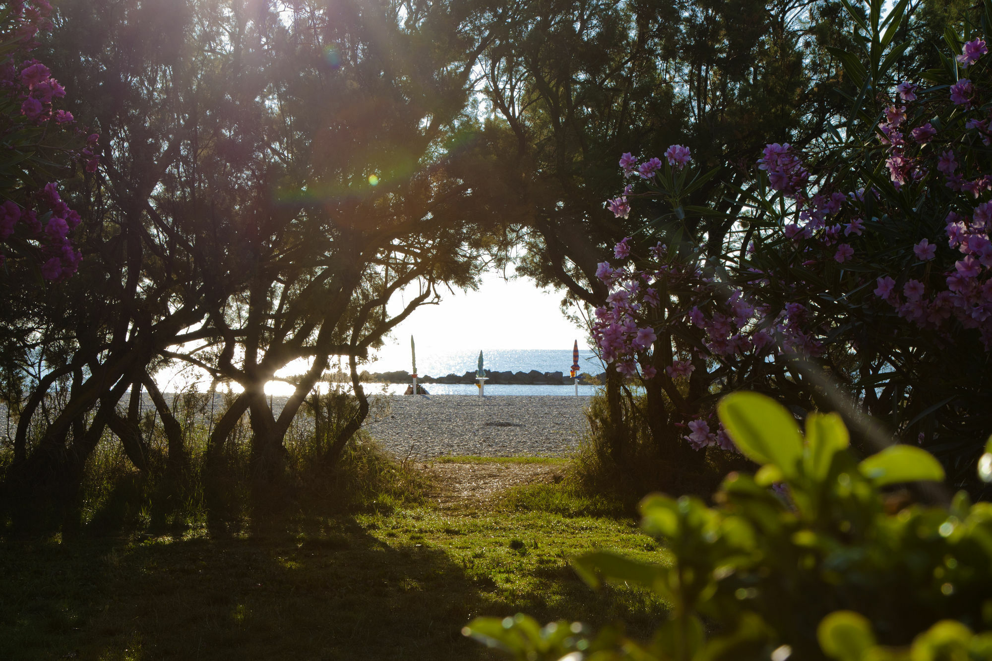 Residence Casabianca Porto San Giorgio Eksteriør billede
